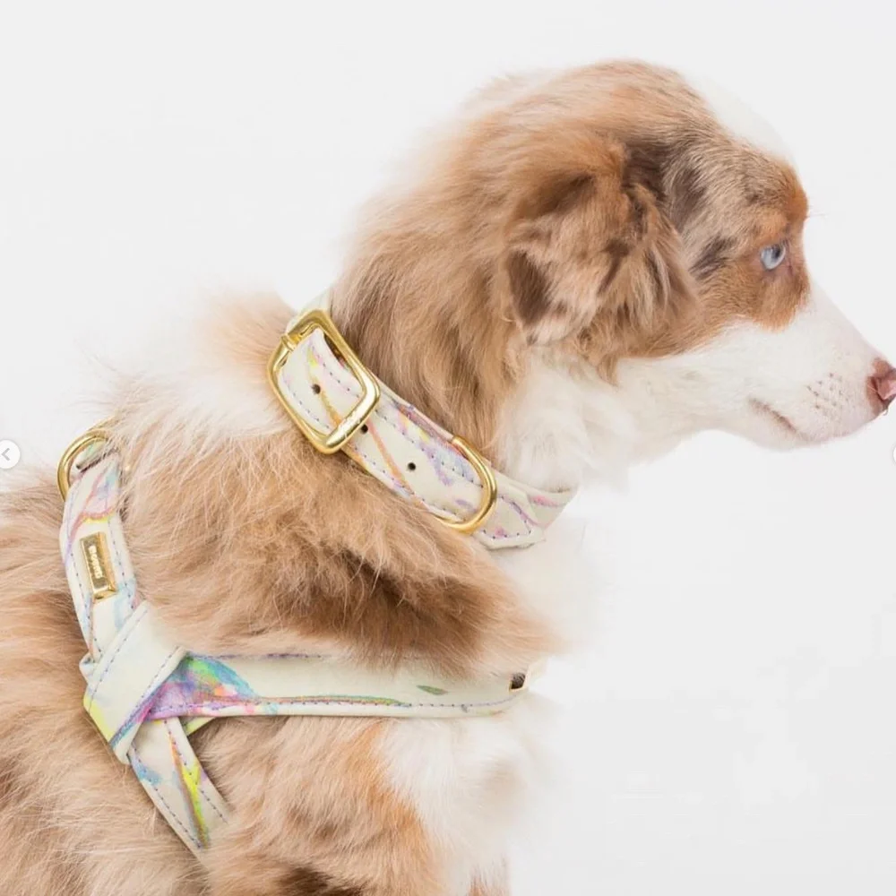 Leather Dog Collar by Hound Collection with Gold Bar Logo